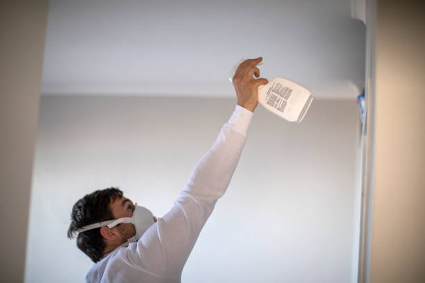 Best Mold Removal Near Me  in Tysons, VA